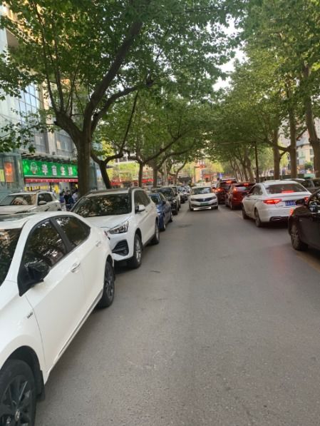 大白杨南路至大兴东路路口 缓堵保畅交通设施的缺失与建议